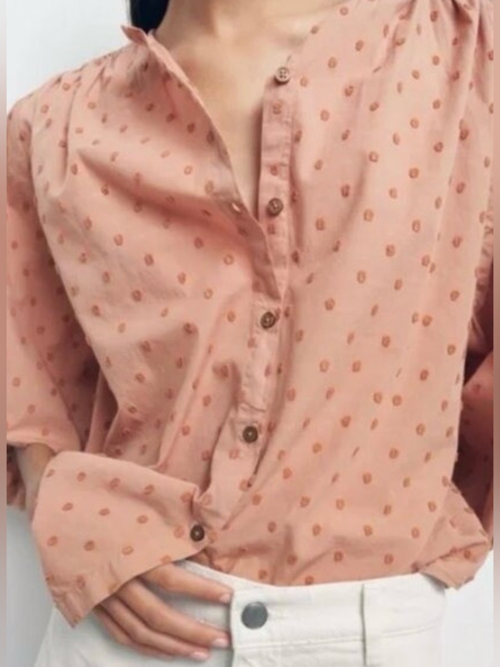 Zara Tan Swiss Dot Balloon Sleeves  (SKU582)
